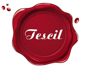 Tescil OSGB web sitesi